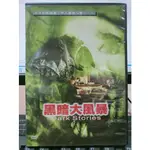 挖寶二手片-Y11-340-正版DVD-電影【黑暗大風暴】不可知的現象 令人膽戰心驚