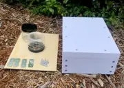 Native Beehive Stingless OATH Bee Hive Honey Jar Only Harvest Honey