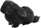 HANSA ‎BH8142 Stuffed Doll Puppy 33 Holland Lop Plush Toy