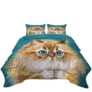Kittens for Children Cute Innocent Cat Coverlet