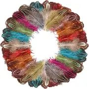 FeelfunFeather 240pcs Mix Colour Pheasant Plumage Feathers 2-3 Inches Natural Fluffy Spotted Plumage Feathers for Sewing Crafts Clothing Jewelry Hair Hats Wedding Party Decoration