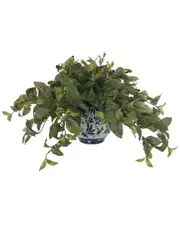 Creative Displays Magnolia Leaf Plant In A Ceramic Vase