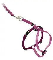 PETSAFE COME WITH ME KITTY CATHARNESS / BUNGEE LEASH MEDIUM DUSTY ROSE BURGUNDY