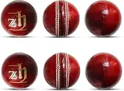 Zhoosh ™ Red Cricket Leather Ball (Type-Part 2)