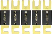 Baomain Anl Fuse Anl-40 40 Amp 40A for Car Vehicles Audio System Sheet Gold Tone 5 Pack