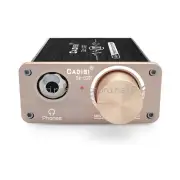 Mini Class A Headphone Amplifier Hi-Fi Desktop Home Stereo Headset Amp