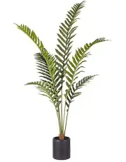 [SOGA] Artificial Foot Fern Tree in 150cm in Assorted