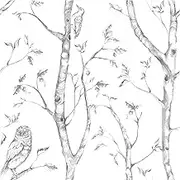 Wall Pops NU1412 Gray Woods Peel and Stick Wallpaper