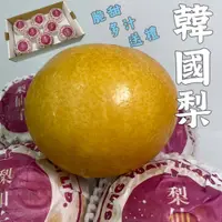 在飛比找蝦皮購物優惠-【價格下殺】韓國梨 水梨 梨子 新高梨 水果 進口水果 韓國