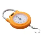 Precision Weight Scale Metal With Hook Hanging Scale Kitchen Scale Spring Scale