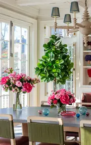 [Diane James Designs] Fiddle Leaf Fig Tree