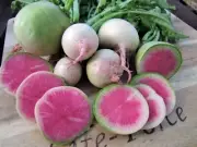 Radish, Watermelon 60+ Seeds - Heirloom Vegetable by Life-Force Seeds Australia