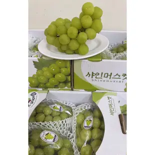 🇰🇷韓國頂級麝香葡萄