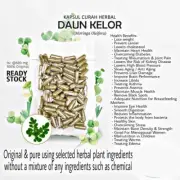 Capsule Moringa Oleifera Daun Kelor Organic Herbal 100-500Gram