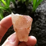 32g 36mm Rare Nirvana Quartz Natural Clear Golden Hair Rutilated Quartz Specimen