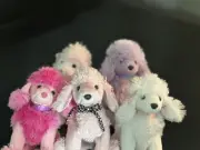 Ty Beanie Babies Poodles Lot Original Retired Errors Tush Tag Swing Brigette Etc