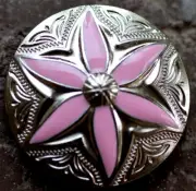 4 Conchos Rhinestone Horse Saddle Western Pink CO104