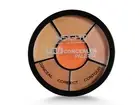 Insight Cosmetics Pro Concealer Palette Waterproof Concealer With Full Coverage