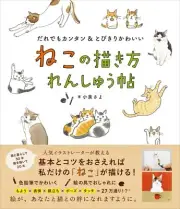 A tutorial on how to draw a cat 247