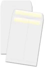 Press/Seal Catalog Envelopes (Box of 100)