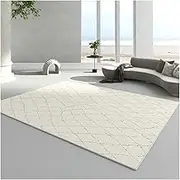 Modern Minimalist Carpets for Living Room Nordic Bedroom Decor Bedside Carpet Plush Anti-Slip Floor Mat Home Washable Lounge Rug(E,100x160cm)