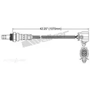 PAT Oxygen/Lambda Sensor Post Catalytic Converter - EGO-607