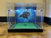 Custom Full Size Helmet Display W/ LED Lights - Carolina Panthers