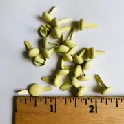 20 Med.1/4” Yellow Brads Scrapbooking