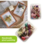 1Box Real Dried Flowers For DIY Art Craft Epoxy Resin Pendant Jewellery Making