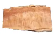 CURLY SPALTED MAPLE SLAB TURNING CRAFTING WOODWORKING APPROX 24x13.5x1 IN