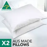 Altern to Feather/Latex/Memory-Aus Made Twin Pack Polyester Pillow+Cotton Cover