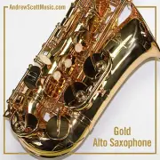 New Gold Alto Saxophone in Case - Masterpiece