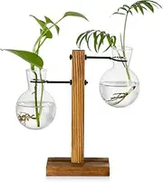 Glasseam Plant Propagation Station Glass Terrarium Cute Propogation Stations Hydroponic Vase Bulb Planter for Indoor Plants Desktop Propagated Jars for Home Office Decor Birthday