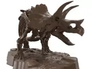 Imaginary Skeleton Triceratops 1/32 Scale Model Kit USA Seller