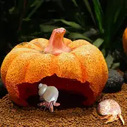 Hermit Crab Hideout Resin Simulation Halloween Pumpkin House Reptile Hides and C
