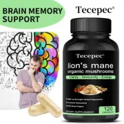 370mg Lions Mane Organic Mushroom Supplement Immunity & Brain Booster