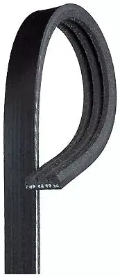 Drive Belt Ribbed Fits Renault SAFRANE I 2.0 2.2 B54 098KP3