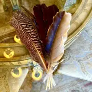 Peacock Inner Feathers Gold Brown 7 Feathers/Bunch Height 12.5” Width 3”