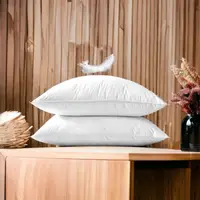 在飛比找蝦皮商城精選優惠-MIT頂級水鳥羽毛枕飯店枕頭 羽毛枕-SUD 枕頭 枕芯