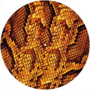 Slipmat Scratchpad Felt for any 12" Turntable LP DJ Record Player SNAKESKIN YL