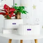 Plastic Flowerpot Removable Tabletop Vase New Mini Succulent Planter