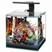 Aqueon Frameless Cube Edgeless Glass Aquarium 3 Gallon