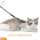 日式和風牽繩 胸背帶 寵物胸背帶 牽繩 牽引繩 遛貓繩 防爆衝寵物胸背 貓背帶 狗胸背帶