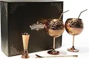 Luxury Gin Glasses Set, Stainless Steel Cocktail Wine Glasses Set, Rose Gold Gin Making Kit for Gin Lovers, 680 ml, Handwash (Rose Gold).