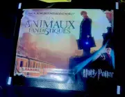 Panini Harry Potter & LES Animaux Fantastiques Italian Sticker Pack