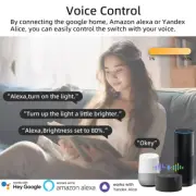 Tuya Smart WiFi LED Cabinet Dimmer Switch Module APP Voice Control For Alexa
