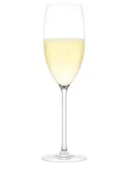 Plumm Outdoors Sparkling Unbreakable Wine Glasses, Set of 4