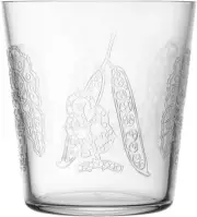 Iittala Taika Sato Tumbler Set of 2 Pair Cups Approx. 380ml Clear 1070295 F/S