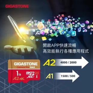 【GIGASTONE 立達】Camera Pro MAX microSDXC UHS-Ⅰ U3 A2V60 256GB攝影高速記憶卡-3入組(支援GoPro)