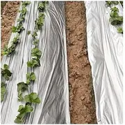 0.012mm Agriculture Silver Black Mulch Film Reflective Foil, for Greenhouse Keep Warm Control Ground Reflective Films (Color : Length 40m, Size : Width 1.0m)
